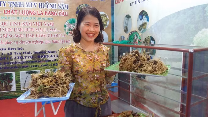 Virtual portal on Ngoc Linh ginseng tourism area launched ảnh 1