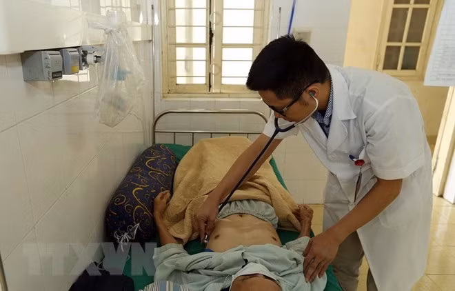 Tra Vinh reports one death over swine flu ảnh 1