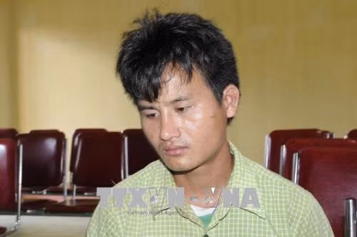 Nghe An seizes 3,000 synthetic pills trafficked from Laos ảnh 1