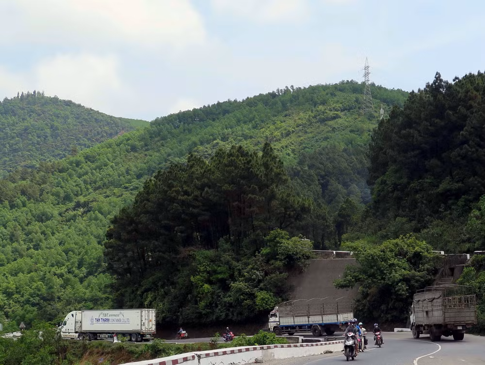 Australia helps Vietnam with sustainable forest management ảnh 1