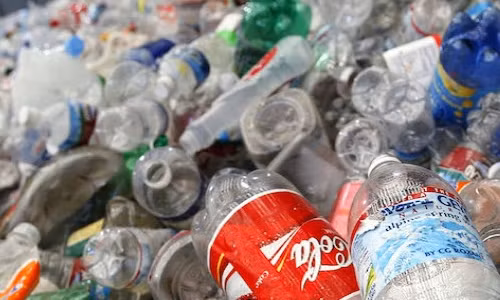 WB recommends roadmap for phasing out single-use plastics in Vietnam ảnh 1