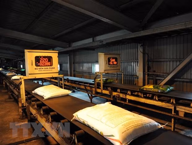 First half fertiliser export revenue exceeds 2021’s figure ảnh 1 First half fertiliser export revenue exceeds 2021’s figure ảnh 1