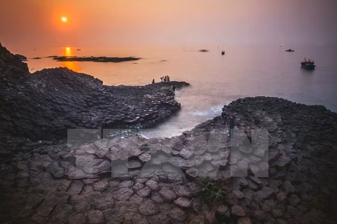 Phu Yen calling for more FDI projects ảnh 1
