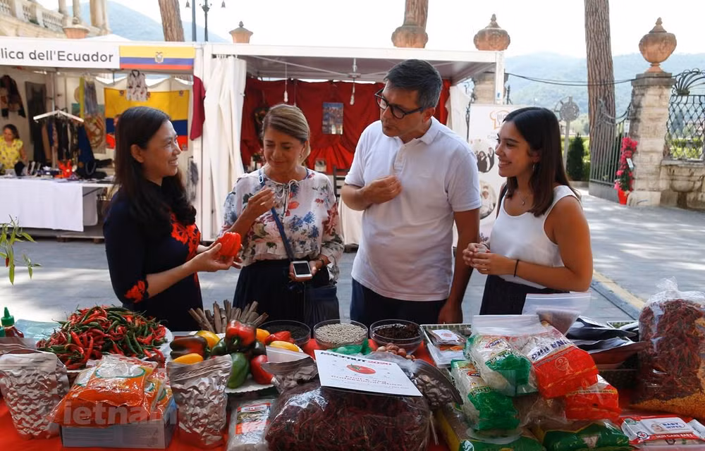 Vietnamese spices introduced in Italy ảnh 1