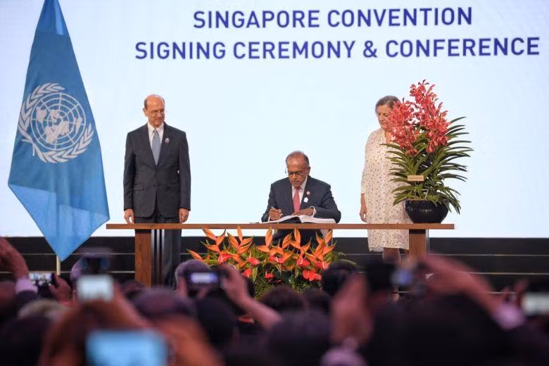 46 countries sign international mediation treaty ảnh 1