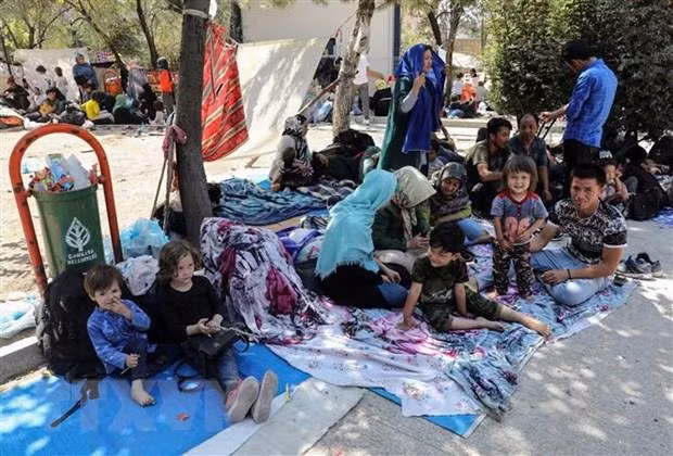 ASEAN voice concern over children's plight in armed conflicts ảnh 1