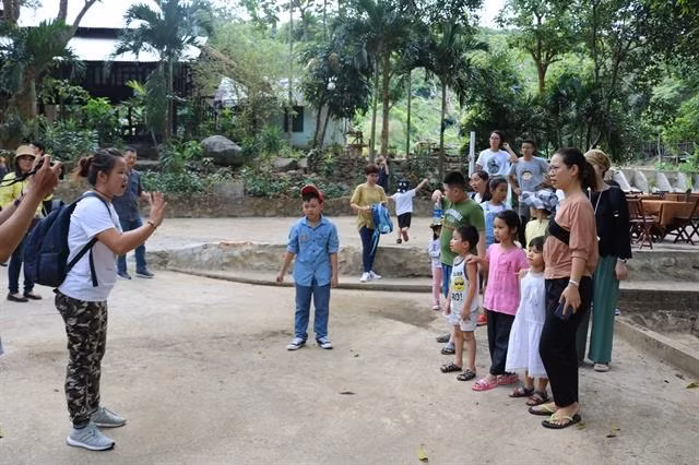 Da Nang opens central Vietnam’s first forest school ảnh 1
