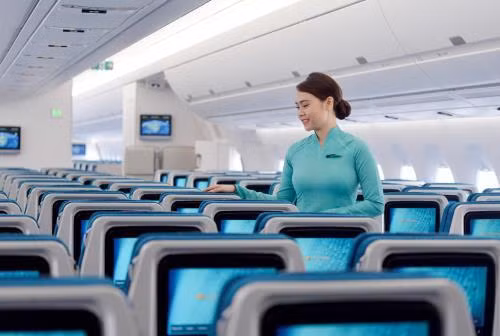 Vietnam Airlines revises down revenue goals for 2019 ảnh 1