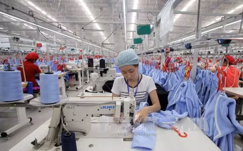 Vietnam’s PMI highest in nine months ảnh 1