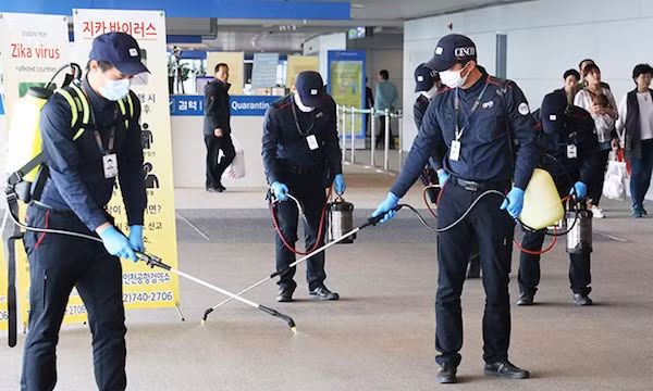 RoK Zika case may have been infected in Vietnam ảnh 1 RoK Zika case may have been infected in Vietnam ảnh 1