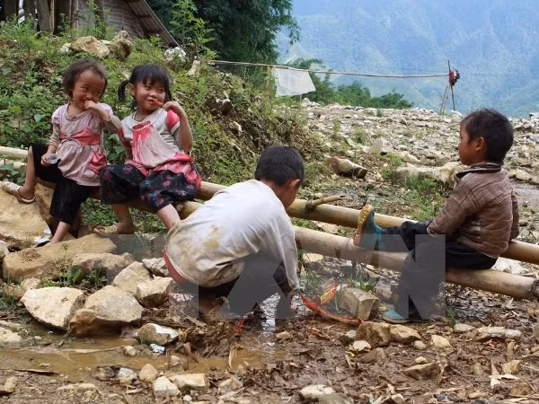 National steering committee for hunger-alleviation plan established ảnh 1