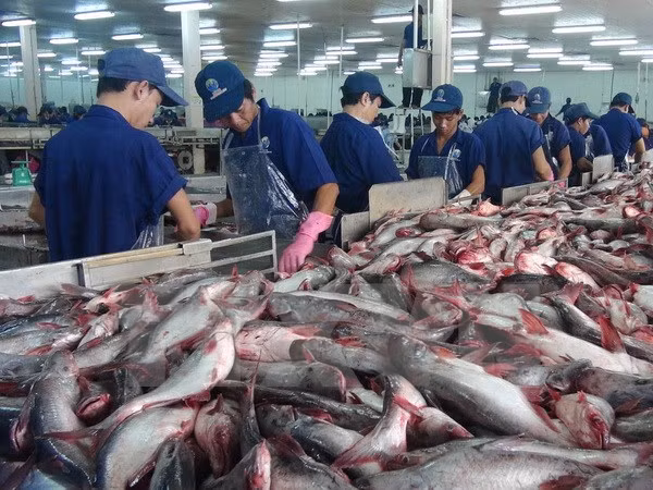 Russia – potential market for Vietnam’s farm produce ảnh 1