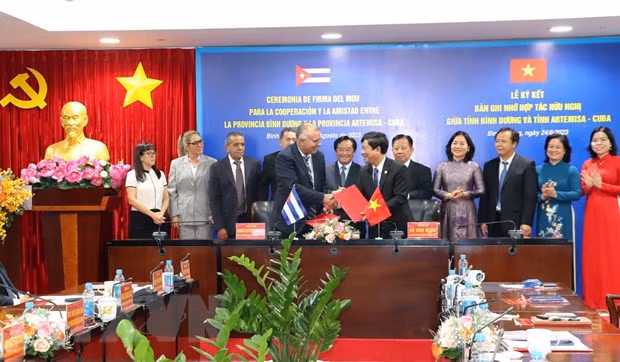 Vietnam, Cuba tighten special relations ảnh 1