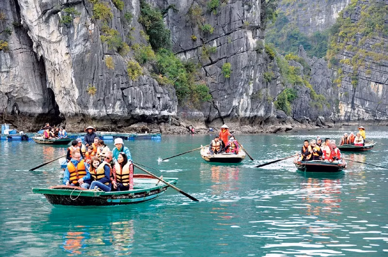 Tourism companies expect busy months to come with foreign visitors ảnh 1