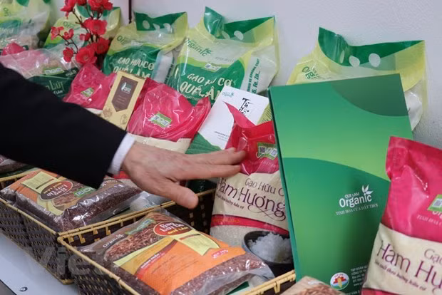 Hanoi's August CPI rose 1.08% from last month ảnh 1