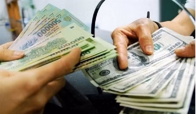 USD/VND exchange rate keeps stable despite SBV’s different policies ảnh 1