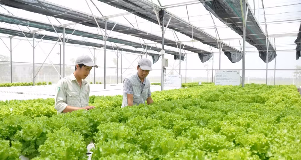 Australia funds Vietnam's tech-based innovation projects in agriculture ảnh 1