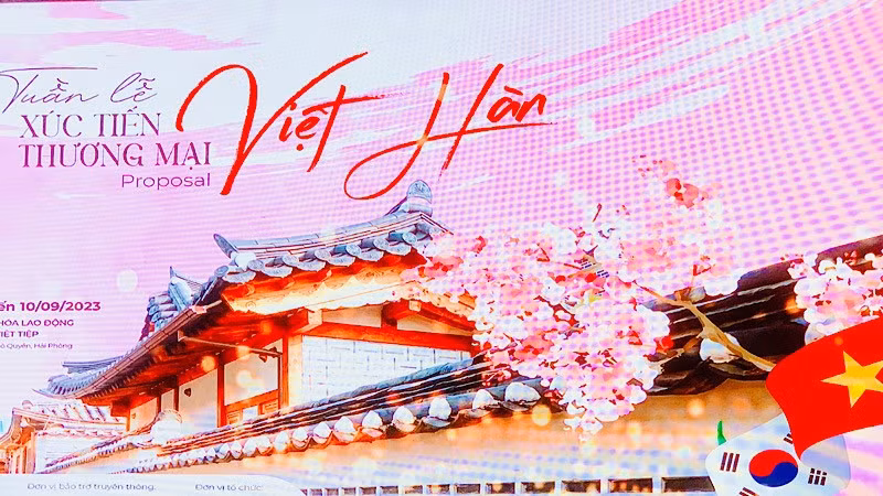 Vietnam-Korea trade promotion week slated for September in Hai Phong ảnh 1