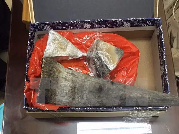 Rhino horn smuggling case busted in HCM City ảnh 1