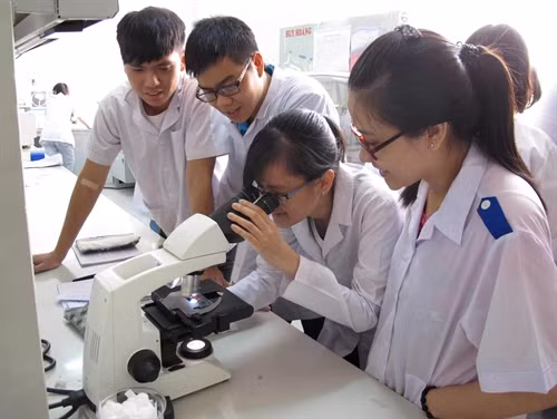 Stronger university-industry links needed ảnh 1