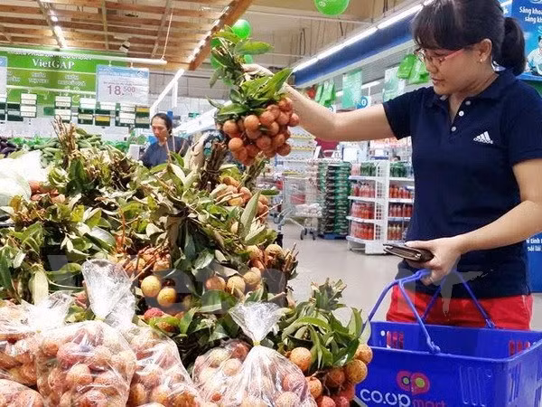 Growing modern retailing puts greater pressure on domestic firms ảnh 1 Growing modern retailing puts greater pressure on domestic firms ảnh 1