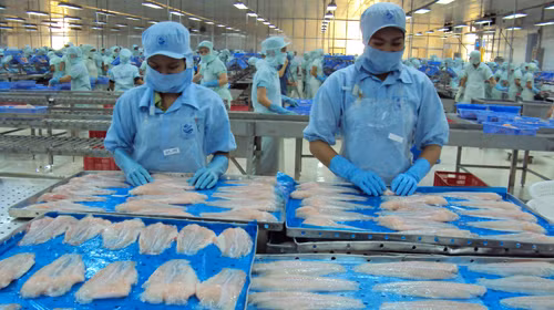 Tra fish exports reach 616 million USD in first six months ảnh 1 Tra fish exports reach 616 million USD in first six months ảnh 1
