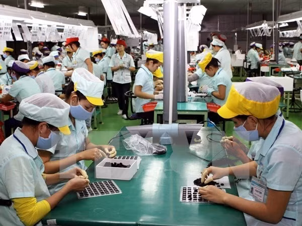 Vietnam seeks to fulfill TPP commitments to employment ảnh 1
