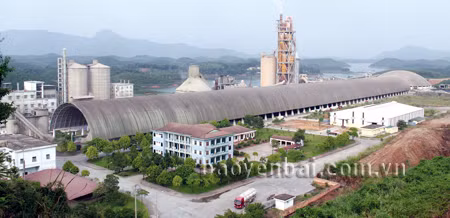 Yen Bai improves business climate to lure foreign investors ảnh 1