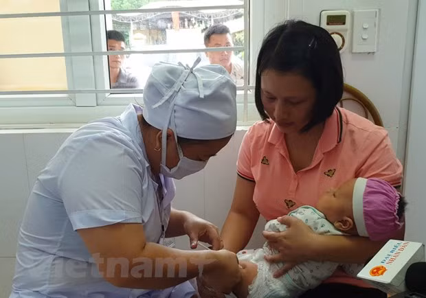 Minister: There's a solution to ensure vaccine supply ảnh 4 Minister: There's a solution to ensure vaccine supply ảnh 4