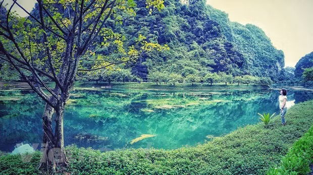 Ninh Binh’s must-see destinations in Spring ảnh 5