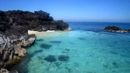 Quang Ngai province to establish sea reserve ảnh 1