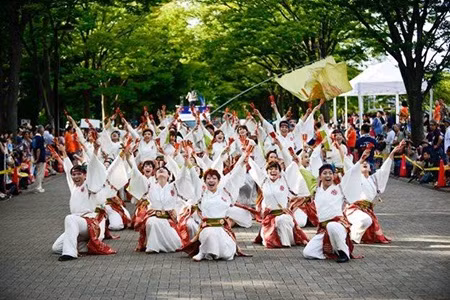 Japan-like cherry blossom festival Shinnen 2016 in Hanoi ảnh 1