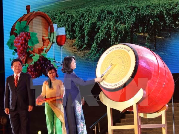 Grapes and Wine Festival opens in Ninh Thuan ảnh 1 Grapes and Wine Festival opens in Ninh Thuan ảnh 1