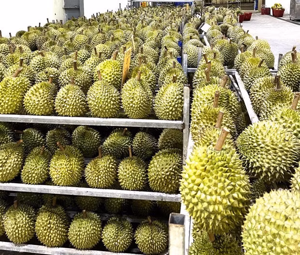  Trade, export, and investment gain momentum in Vietnam ảnh 1