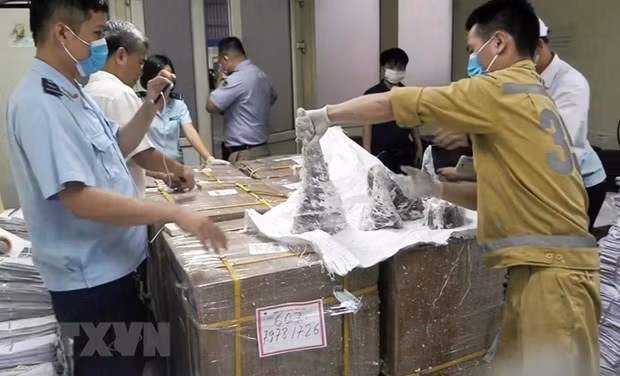 One man charged in biggest ever rhino horn smuggling case ảnh 1