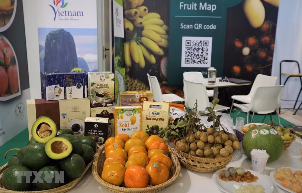 Vietnam targets over 5 billion USD in fruit export turnover by 2025 ảnh 1 Vietnam targets over 5 billion USD in fruit export turnover by 2025 ảnh 1