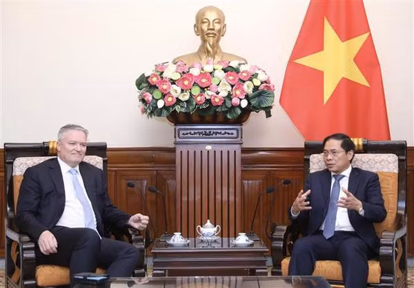 Foreign Minister hosts OECD Secretary-General ảnh 2