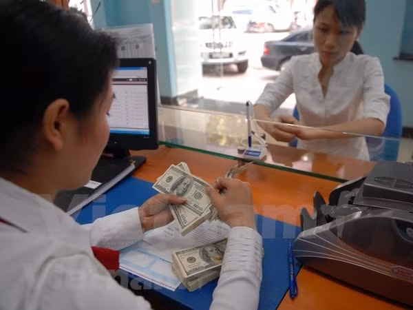 Reference exchange rate up 3 VND on October 25 ảnh 1
