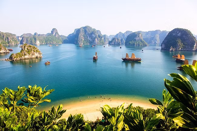 Vietnam among most searched tourist destinations on Google by Australians ảnh 1