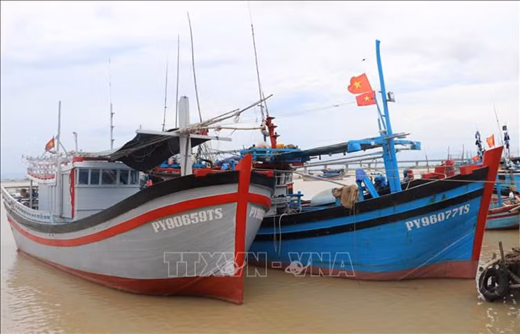 Ba Ria-Vung Tau: fishing vessels without monitoring system not allowed to go out to sea ảnh 1