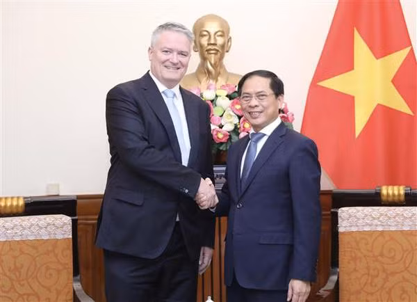 Foreign Minister hosts OECD Secretary-General ảnh 1