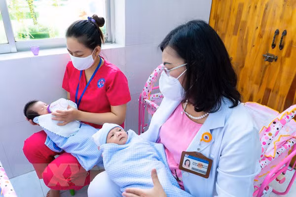 Many parts of Vietnam see increased fertility rates during pandemic ảnh 1