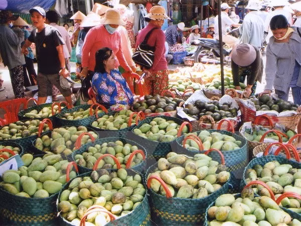 Forum promotes vegetables, fruits trade to China ảnh 1