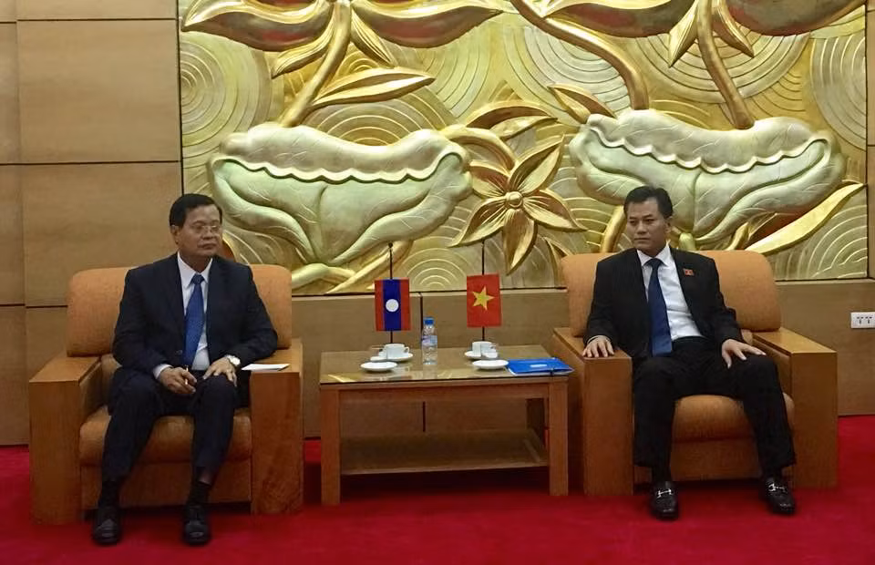 VUFO vows to work for stronger Vietnam-Laos ties ảnh 1