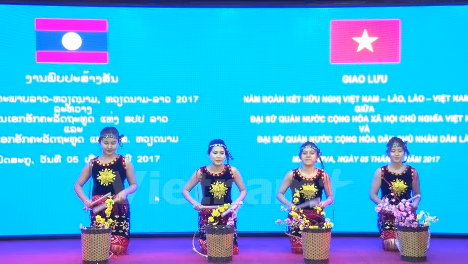 Art performance marks Vietnam-Laos diplomatic ties ảnh 1