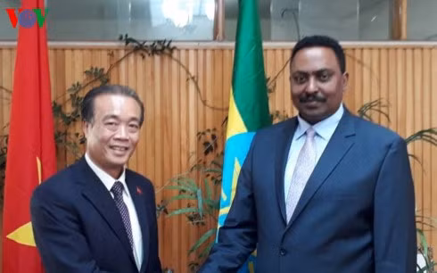 Ethiopia suggests reopening of Vietnamese embassy ảnh 1