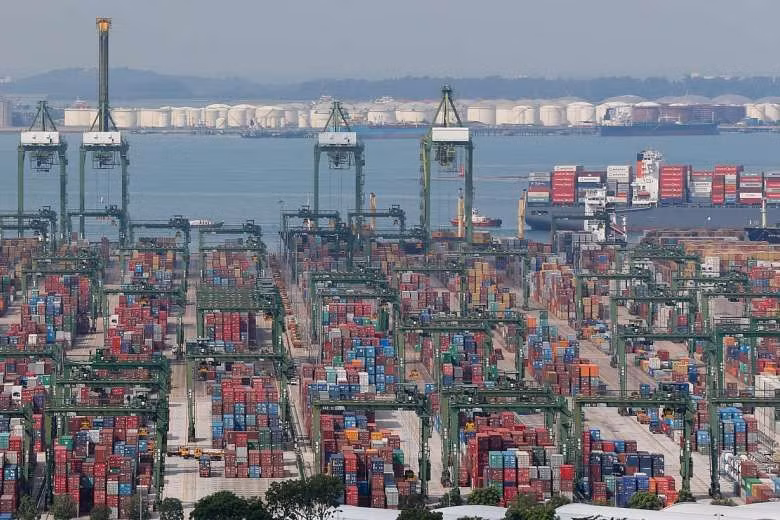 Singapore's non-oil exports surge 17 percent in August ảnh 1