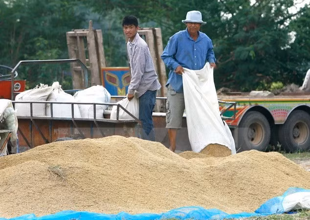 Thailand remains world’s biggest rice exporter ảnh 1