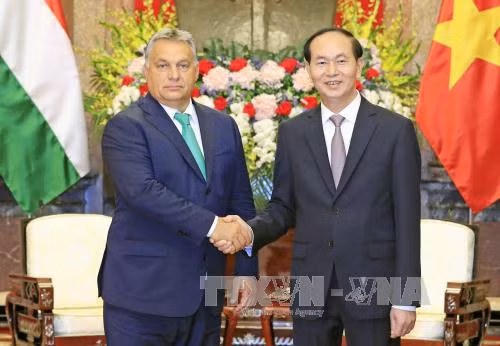 President urges effective use of Hungary’s preferential loans ảnh 1