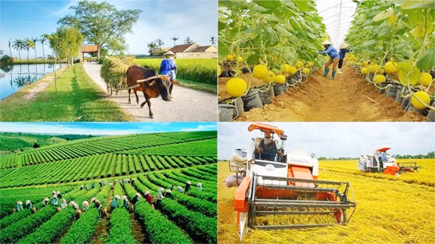 More special mechanisms proposed to speed up national target programmes ảnh 1 More special mechanisms proposed to speed up national target programmes ảnh 1
